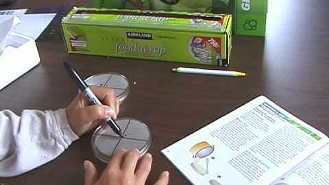 Genetics & DNA: Chapter 10 - Experiments 19 & 20