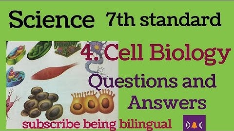 science 7th std science/4. cell biology/book back questions and answers