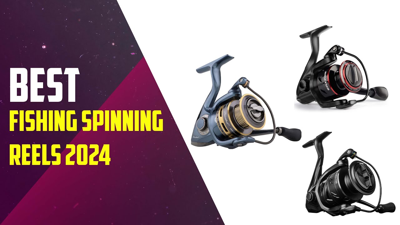 top 5 best fishing spinning reels 2024 | fishing reels | fishing | reel ...