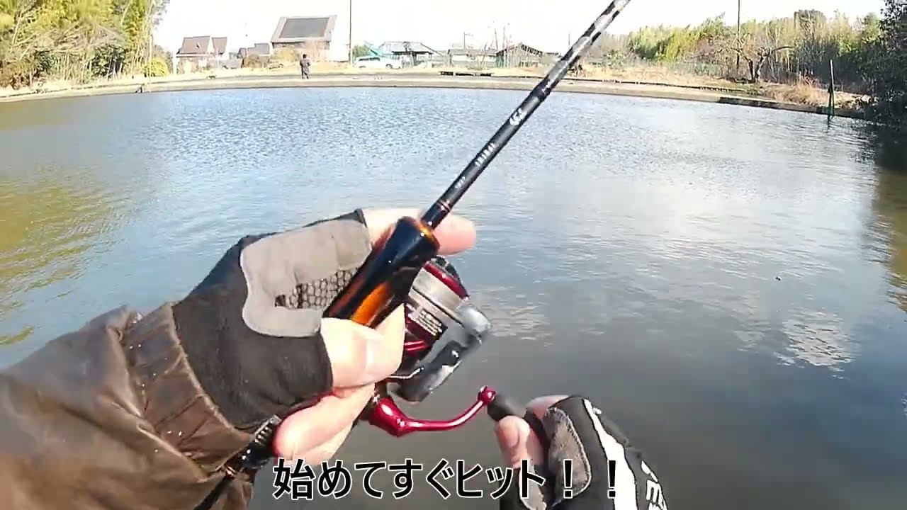 頂鱒(イタダキマス）と虹鱒食べ比べするぞ～～～ｗ