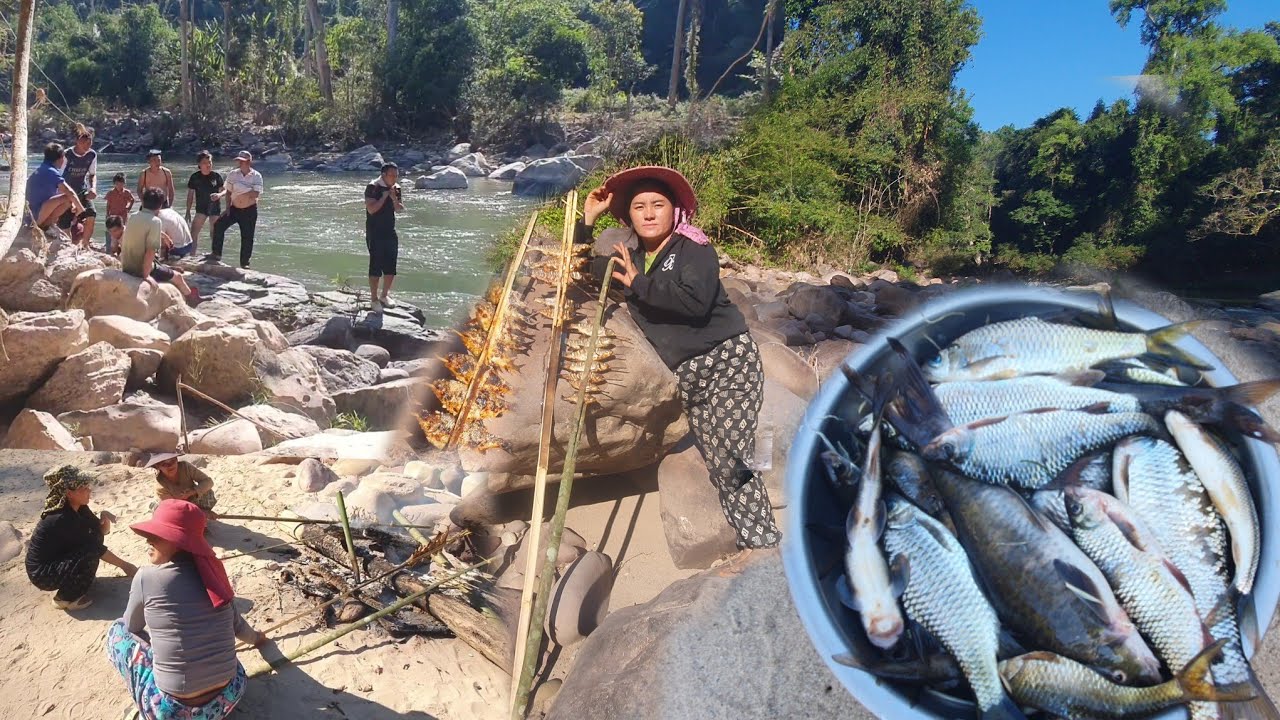 Cọ yawg lawv mus noj ntses 1 1  2026