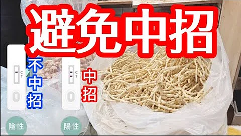 #魚腥草🌾#抗病毒 自救好方法💪對抗呼吸道疾病😷中藥抗生素❇️抗發炎❇️預防感冒 ❇️喉嚨痛 ❇️消炎消腫止痕止痛 ❇️清肺熱❇️齊齊守護健康🙏🏻點煲最出味♨️效果最好👍快啲煲新冠病毒🌬️疫情第五波 - 天天要聞
