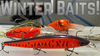THESE Baits EXCEL At WINTER Bass Fishing!! 