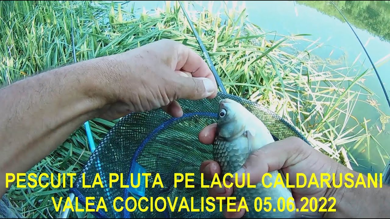 PESCUIT LA SHEFFIELD SI VARGA PE BALTA  VALEA COCIOVALISTEA