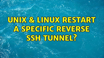 Unix & Linux: Restart a specific reverse ssh tunnel? (2 Solutions!!)