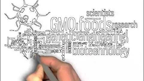 What is GMO? (Genetically Modified Organisms)