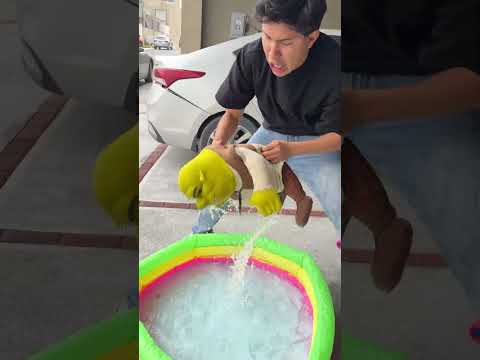 LUPE HACEINDO RETO EN LA ALBERCA 🏊‍♂️💦🌊🐠