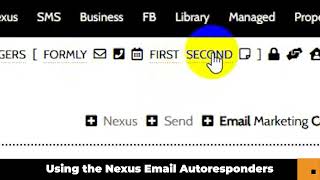 How to Use Email Autoresponders in Nexus