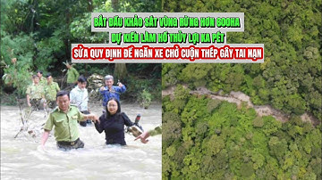 Bắt đầu khảo sát vùng rừng hơn 600ha dự kiến làm hồ thủy lợi Ka Pét | Tin nóng 20H