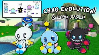 How to get your Chao to Evolve & more! (Sonic Adventure 2: Battle and Sonic Adventure DX)