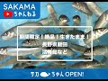 期間限定❗️絶品❗️生きたまま❗️活稚鮎【長野県飯田】