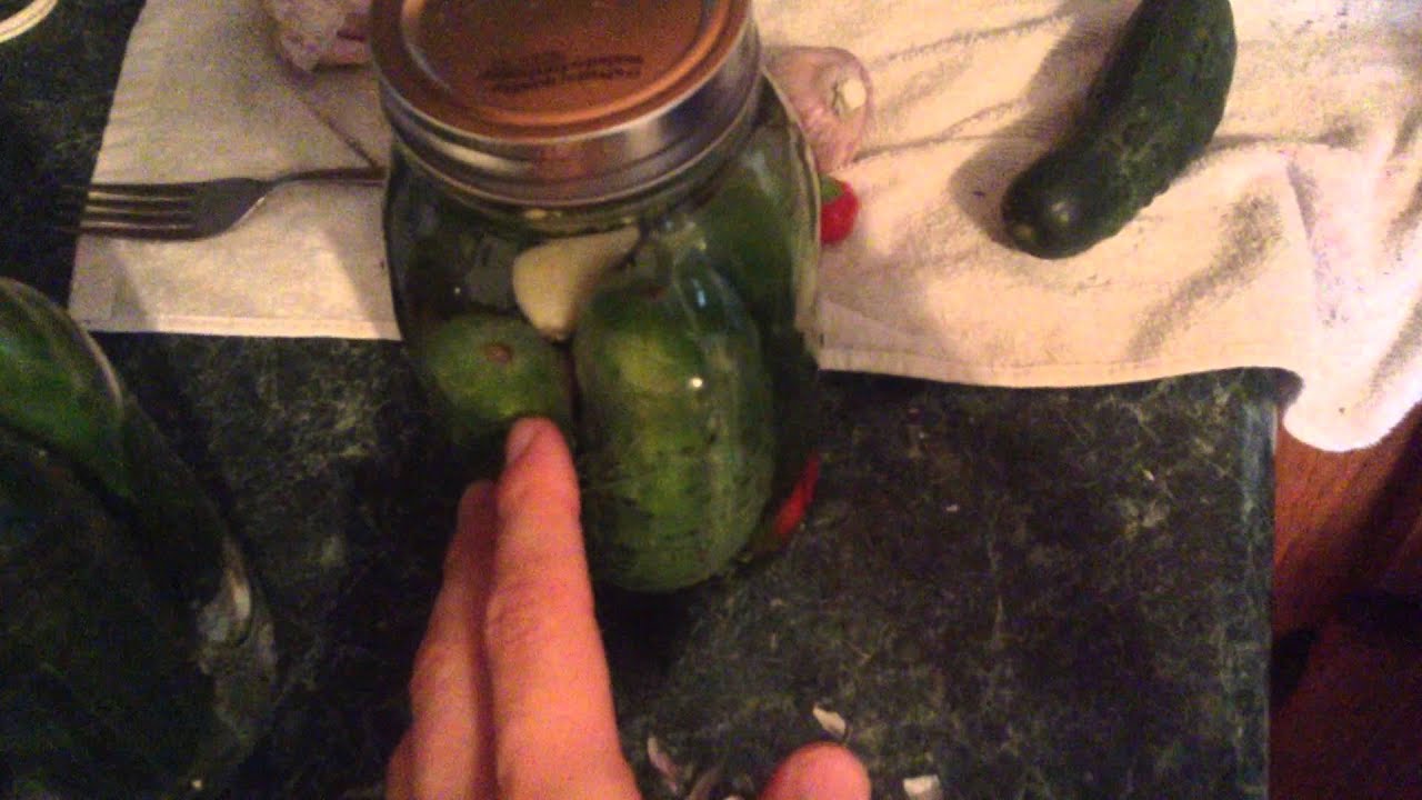 How To Make Traditional Probiotic Dill Pickles YouTube