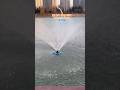 Search on Amazon for RELIY #RELIY Pond Fountain #Amazon #Amazon Marketplace #Sells $189.9