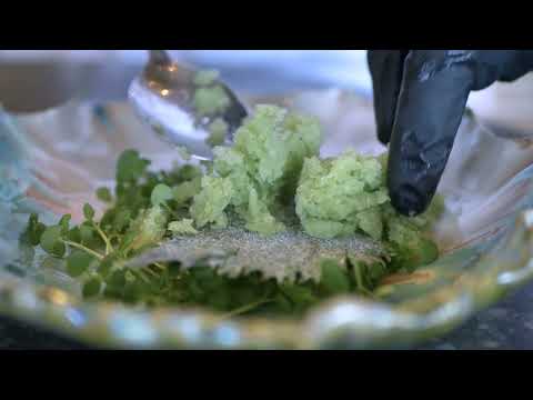 Granita: Experience The Chill!
