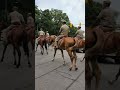 Delhi Police On Horse