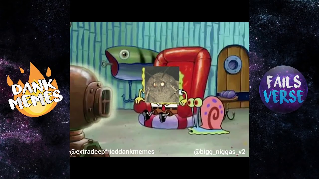 Moth Lamp Meme Compilation 2018