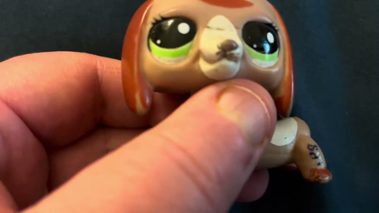 Story time ￼The time when my high school did the SpongeBob club  ￼￼