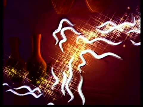 Opening Planet History Spacetoon