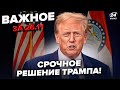 🤯БУНТИ в США через Україну! Трамп ЗВІЛЬНЯЄ Віткоффа? Деталі ДОГОВОРНЯКА ШОКУЮТЬ. Важливе 26.11