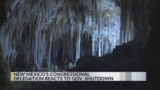 Famous New Mexico's Congressional delegation reacts to government shutdown Net Worth