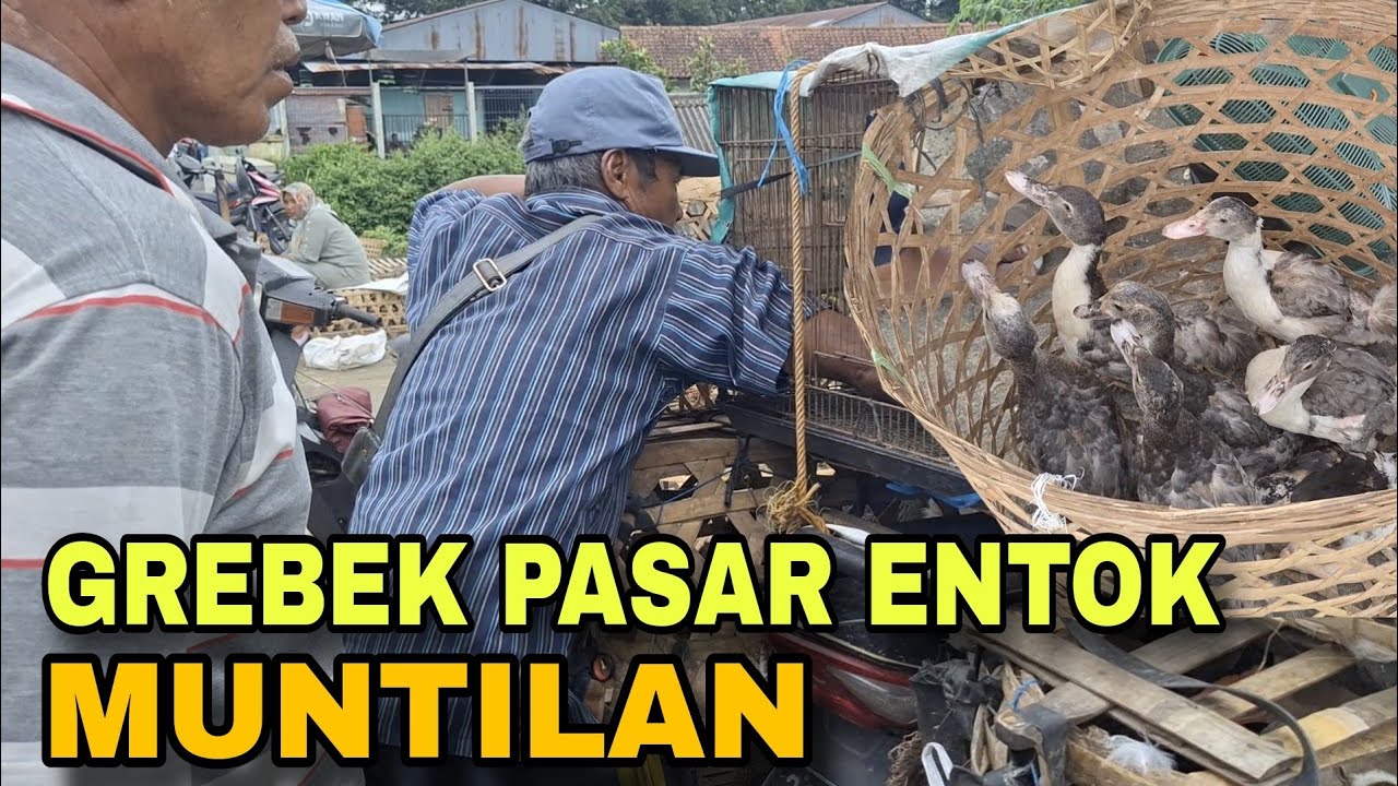 GREBEK PASAR ENTOK MUNTILAN