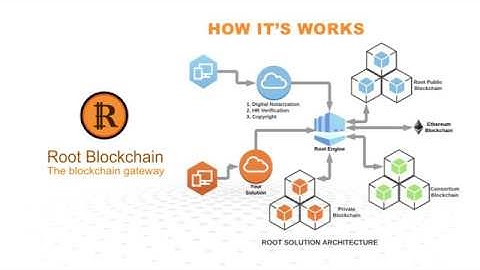 Root Blockchain - The First Hybrid Blockchain with Flexible Option