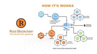 Root Blockchain - The First Hybrid Blockchain with Flexible Option screenshot 2
