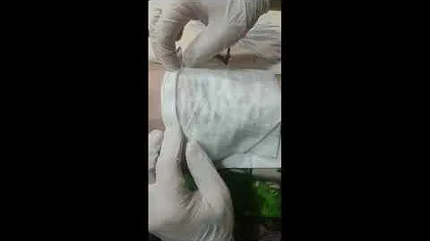 Che significato ha la corona nei tatuaggi?