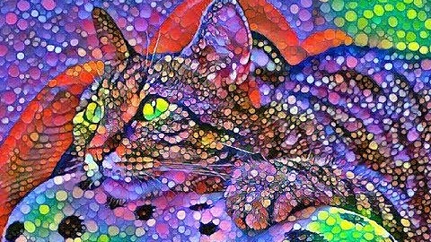 Fast artistic style transfer on images and videos (2/2) : Examples