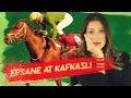 TİGEM'İN TÜRK SAFKAN ARAP ATLARI - YouTube