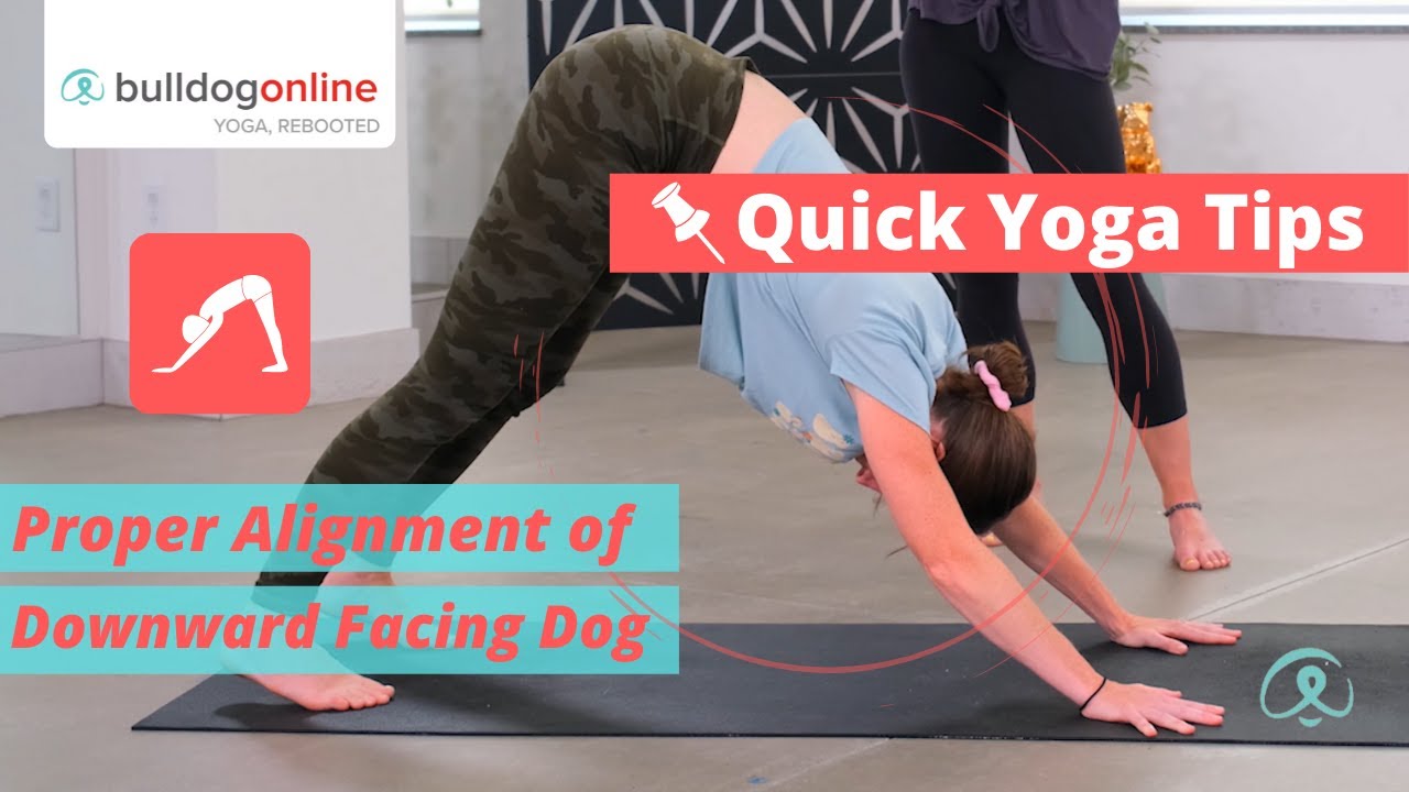 Quick Yoga Tips: Proper Alignment Downward Facing Dog - YouTube