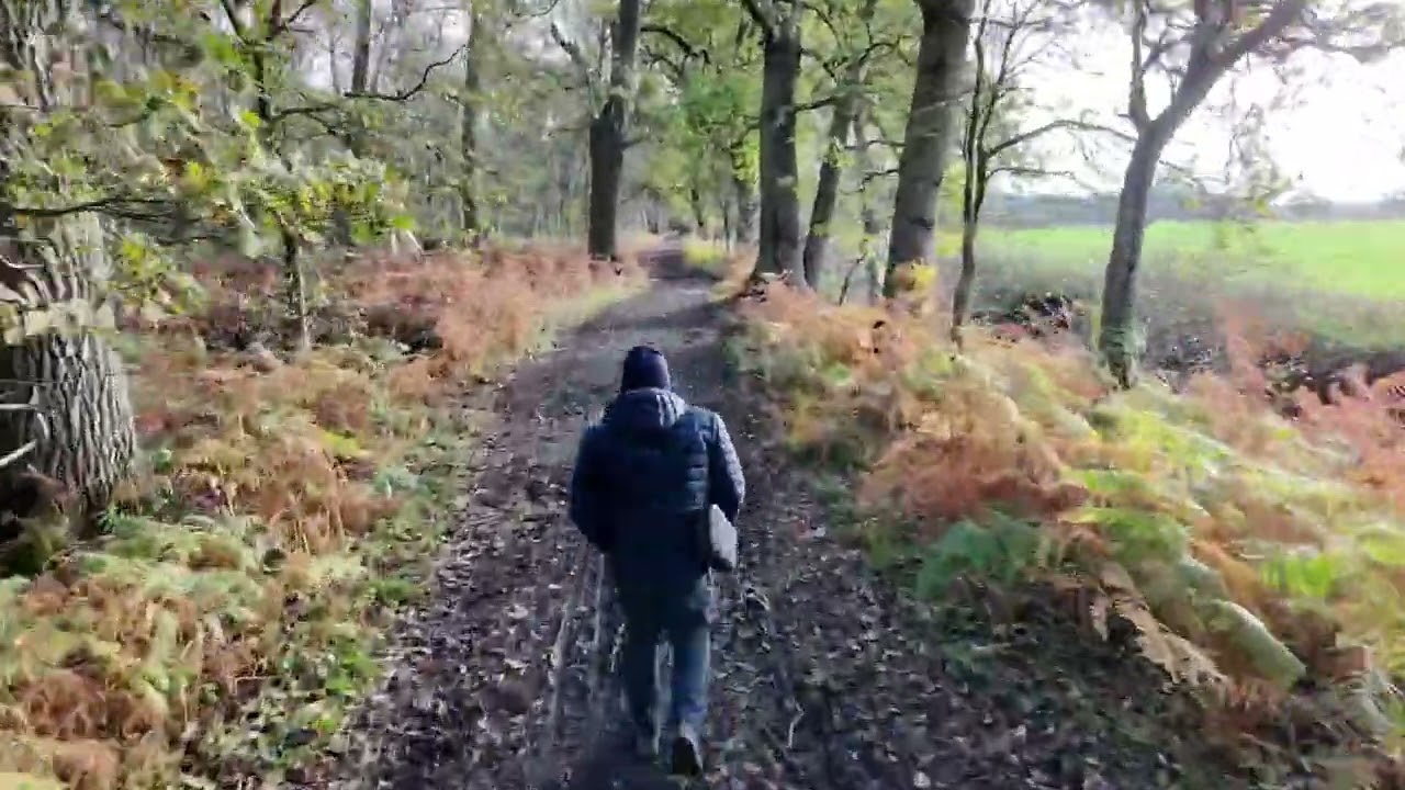 Neo. Zero Degrees. Freezing cold.