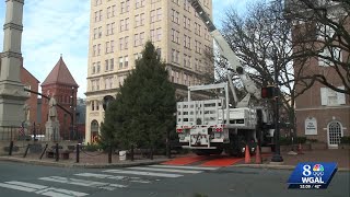 Lancaster family's tree becomes city's Christmas centerpiece