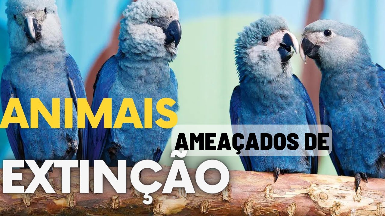 Quanto Custa Um An Ncio No Facebook Ads