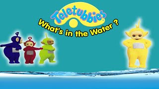 Teletubbies: What's In The Water (Dvd)