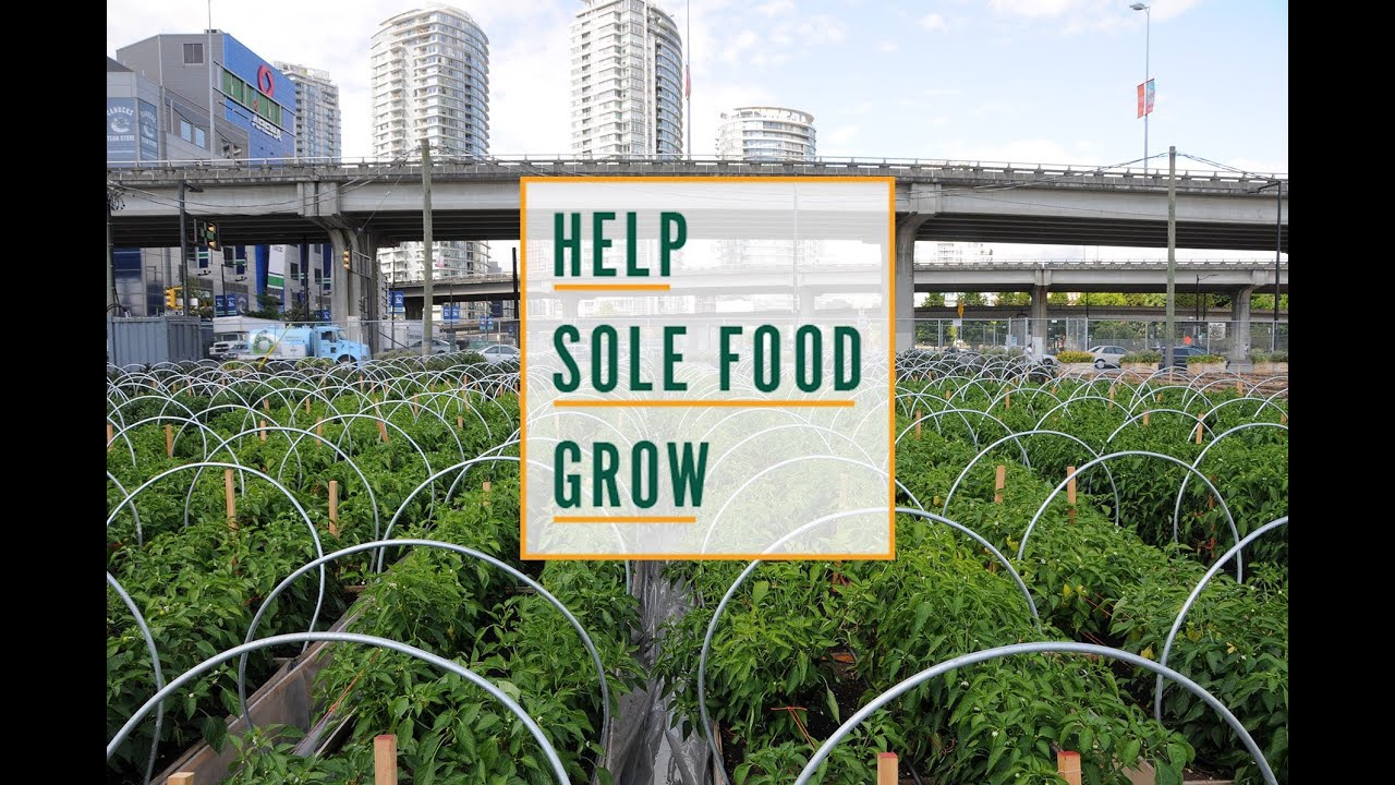 Help Sole Food Grow Story YouTube