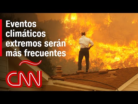 "Nunca habían sido tan extremos estos eventos climáticos", dice experta