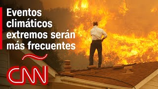 "Nunca habían sido tan extremos estos eventos climáticos", dice experta