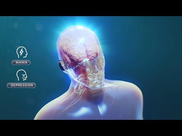 The Neurobiology of Bipolar Disorder