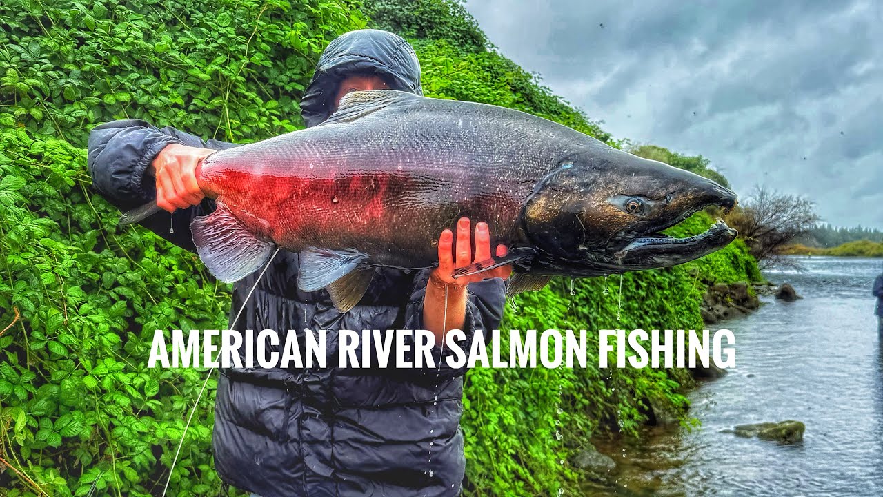Ловля лосося на американской реке (2025) восход солнца и Фэйр-Оукс