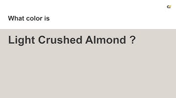 Light Crushed Almond color #ddd7d1 hex color - Grey color - Cool color ddd7d1