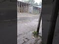 বৃষ্টি হচ্ছে চিতার বাজার বোয়ালমারী ফরিদপুর