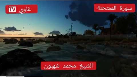 سورة الممتحنة كاملة الشيخ محمد شهبون