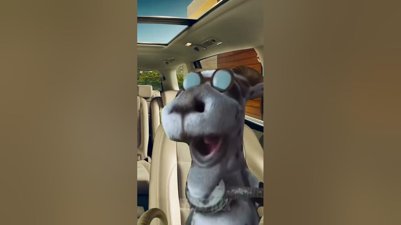Hoodwinked Goat “Did I? Did I?” Meme Template 2 shorts hoodwinkedgoat
