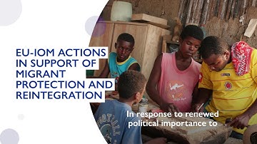 Knowledge Management Hub: supporting migrants protection and assistance