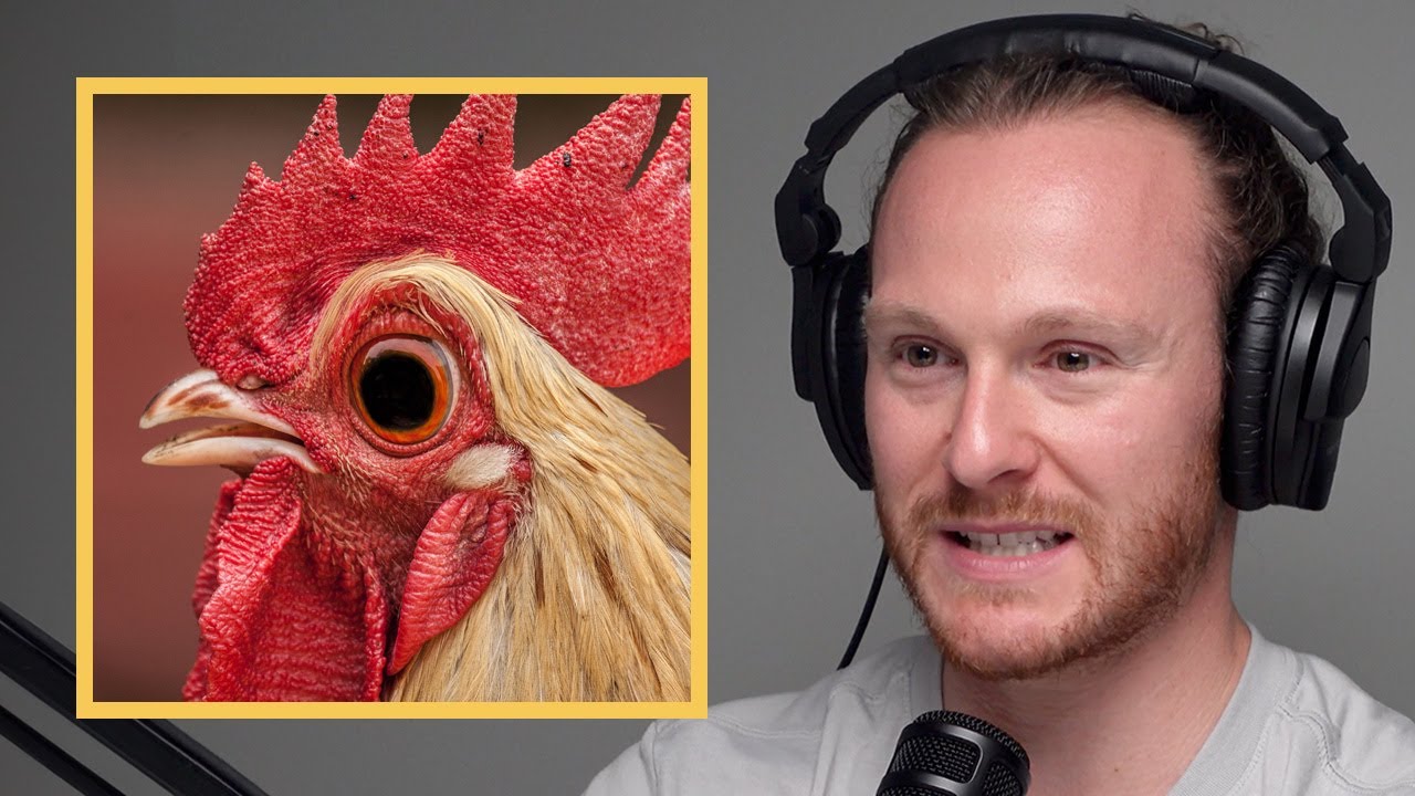 Lab Grown Meat YouTube