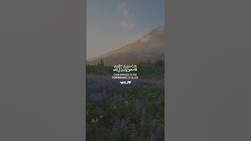 مقطع من سورة الجمعة 🤍🌷#سورة_الجمعة #القرآن_راحة_نفسية #الحمد_لله_دائماً_و_أبداً