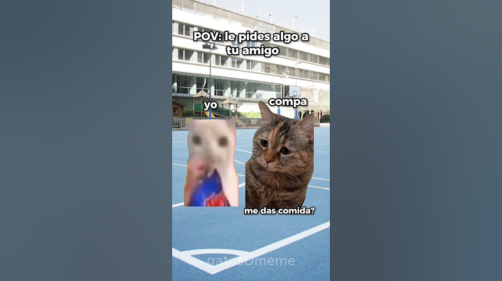 POV: le pides algo a tu amigo | #gatos #gracioso #memes #humor
