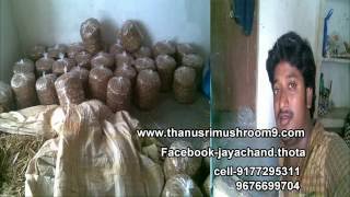 Mushrooms Cultivation In Telugu (In The Year Of 2006)