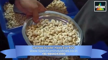 Cashew Grader Hawk Eye 400